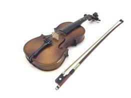 viola generico generico