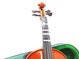 viola kreutzer school 15
