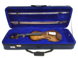 Viola Stentor Student 1