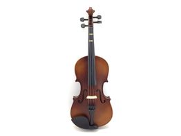 violin aileen vg001hpm-x