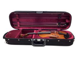 violin antonio wang luthier siracusa