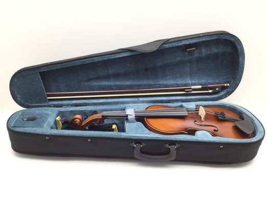 violin carlo giordano vs-0 4/4
