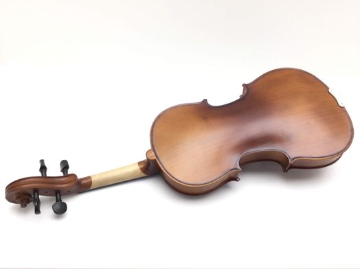 violin carlo giordano vs-0 4/4