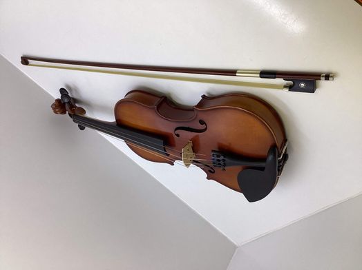 violino carlo giordano vs-1w