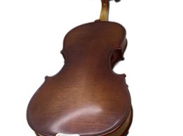 violino carlo giordano vs-1w