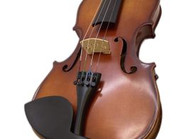 violino carlo giordano vs-1w
