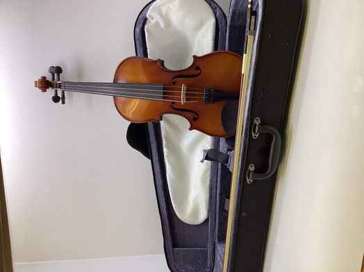 violino carlo giordano vs-1w