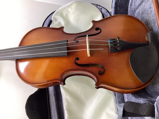 violino carlo giordano vs-1w