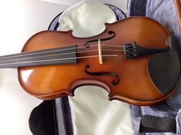 violino carlo giordano vs-1w
