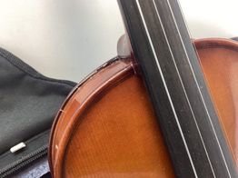 violino carlo giordano vs-1w