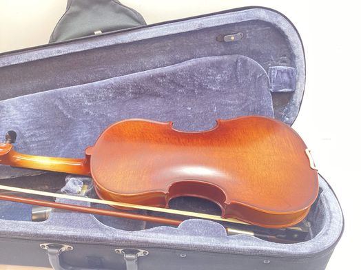 violino carlo giordano vs-1w