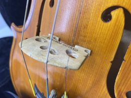 violin carlos portela jacob staimen