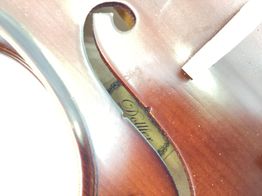 violino dollfer 3000p