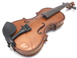violin fidelio student