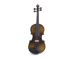 violin generico generico