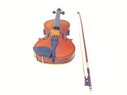 violin h. bague pro 2
