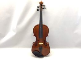 violin p baldini natura