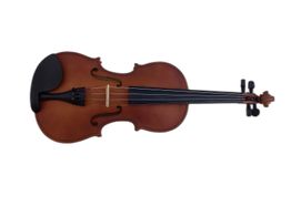 violin sm sm