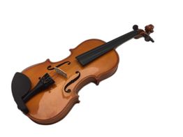 Violin Valencia v160