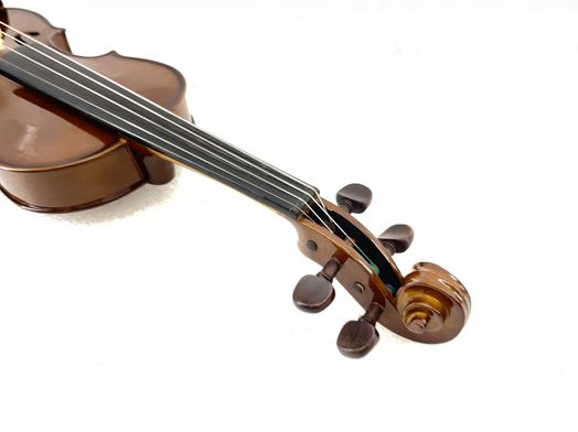 violino sem marca sem modelo