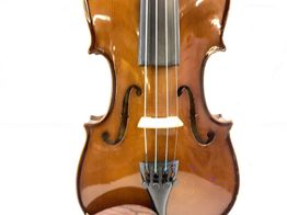 violino sem marca sem modelo