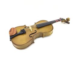 violino stentor sem modelo