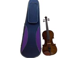 violin stentor student i