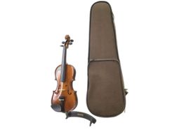 violin stentor student
