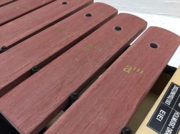 xilofone global beat sx-gbf